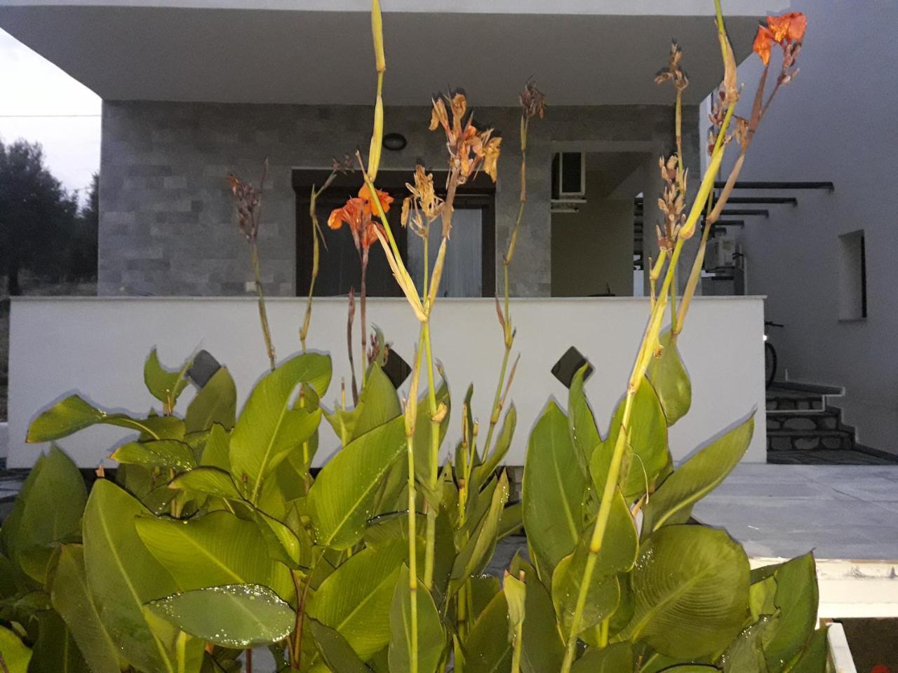 Villa Oliva Αστρίδα Εξωτερικό φωτογραφία