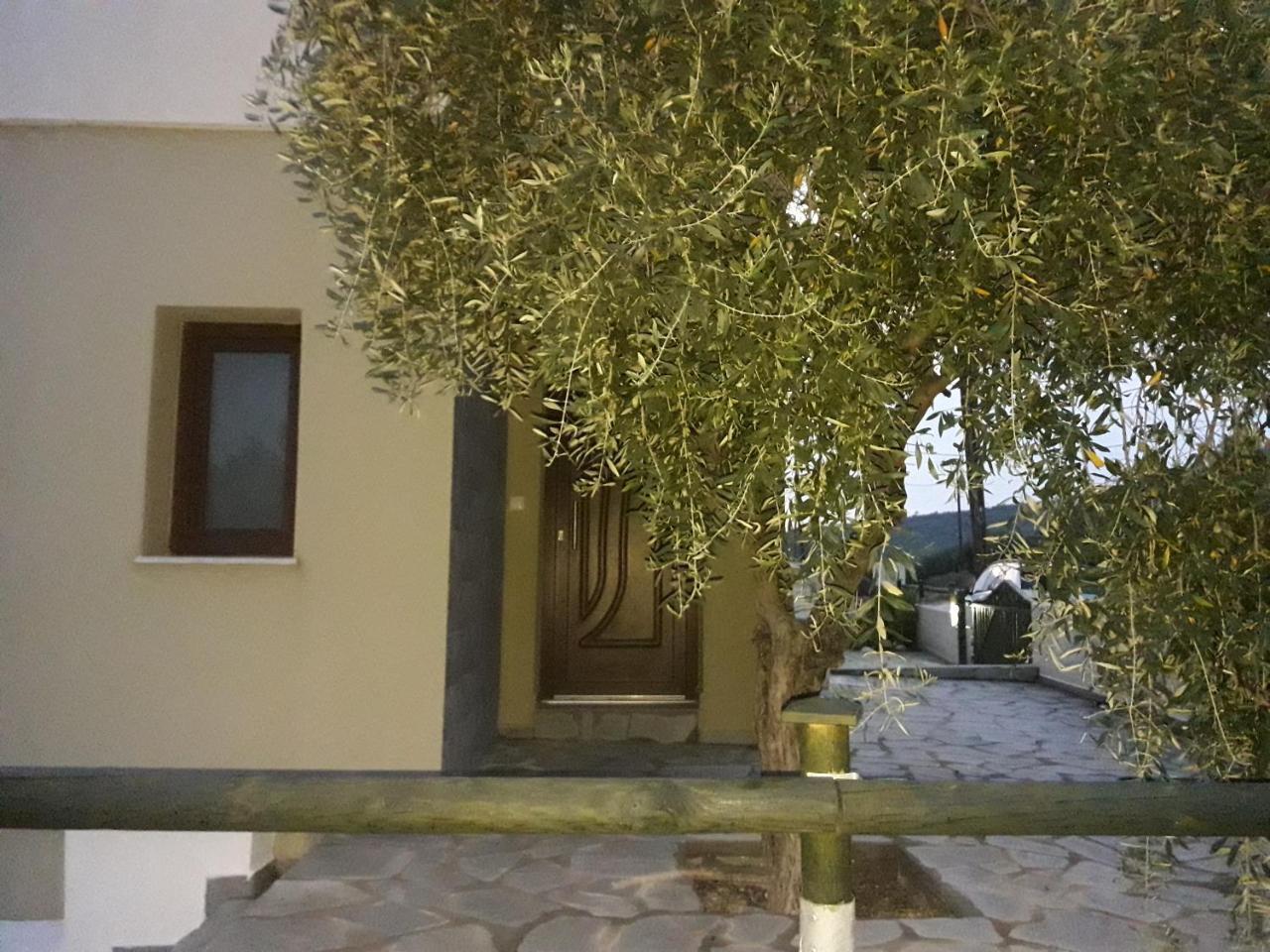 Villa Oliva Αστρίδα Εξωτερικό φωτογραφία